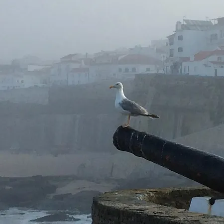 アパート Casa Da Avo *