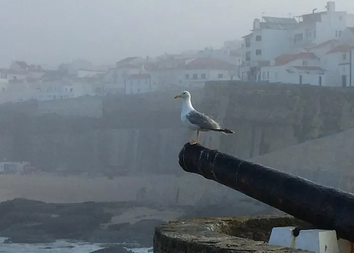 Διαμέρισμα Casa Da Avo *